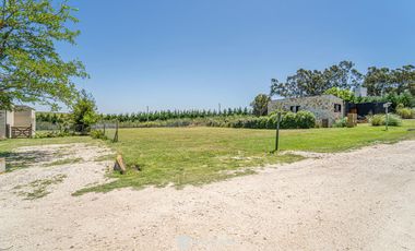 Venta - Lote 42 - Barrio Privado Barrancas de San Benito