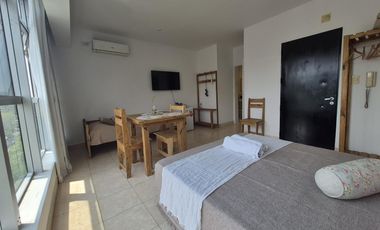 Departamento 1 ambiente Alquiler Temporal Tigre Centro con muebles