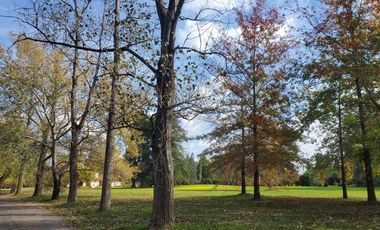 RESERVADA. Casa mediterránea en venta en CC Larena