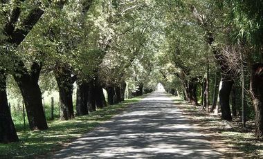 RESERVADA. Casa mediterránea en venta en CC Larena