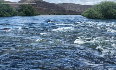 Bariloche  chacras Rio Limay 44 Has