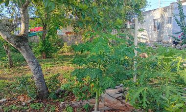 Casa en Venta ubicada en Motul Yucatán