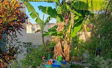 Casa en Venta ubicada en Motul Yucatán