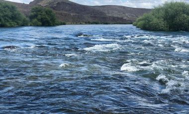Bariloche  chacra Rio Limay 10 Has