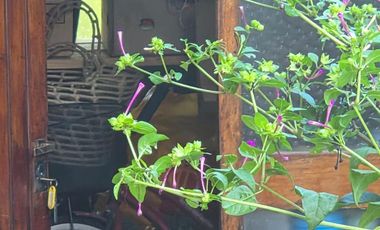 Casa en  VENTA EN EL COUNTRY EL PARAISO HIPICO & GOLF