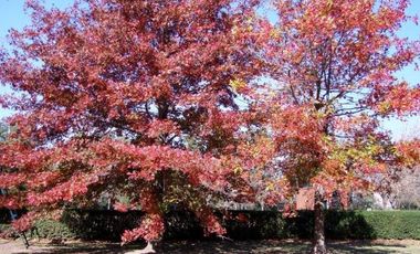 Casa en Highland Park