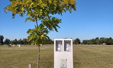 Terreno - Longchamps