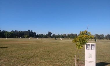 Terreno - Longchamps