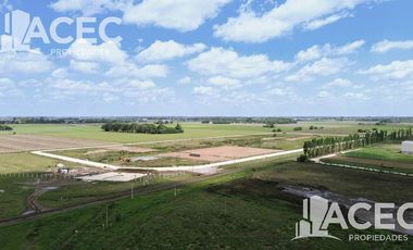 Venta -Nave Industrial - PIRCA - Alvear