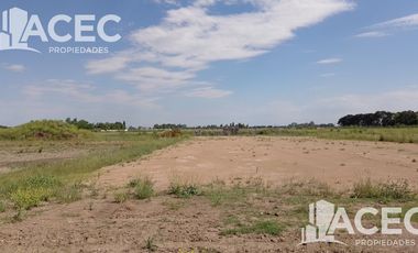 Venta -Nave Industrial - PIRCA - Alvear