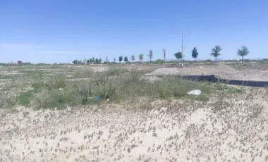 Terreno en venta en El Centenario, Gómez Palacio, Durango