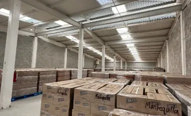 Bodega en venta y renta en San Vicente Chicoloapan de Juárez Centro, Chicoloapan, México