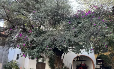Quinta en venta en Juriquilla, Querétaro, Querétaro