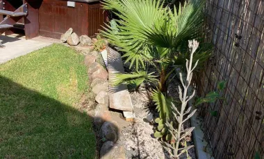Casa en venta en Tamoanchan, Jiutepec, Morelos
