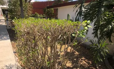 Casa en venta en Tamoanchan, Jiutepec, Morelos