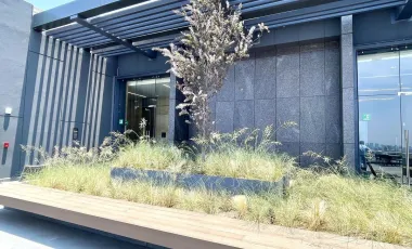 Oficina en venta en Los Alpes, Álvaro Obregón, Ciudad de México