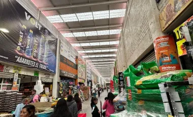 Bodega en venta y renta en San Vicente Chicoloapan de Juárez Centro, Chicoloapan, México