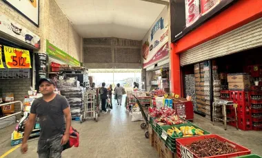 Bodega en venta y renta en San Vicente Chicoloapan de Juárez Centro, Chicoloapan, México