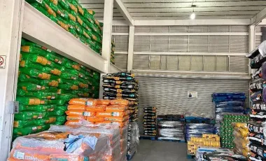 Bodega en venta y renta en San Vicente Chicoloapan de Juárez Centro, Chicoloapan, México