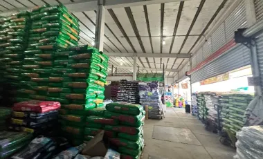 Bodega en venta y renta en San Vicente Chicoloapan de Juárez Centro, Chicoloapan, México