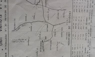 VENTA TERRENO - SITIO 20000MTS Andacollo