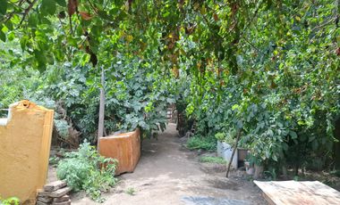 VENTA DE SITIO EN MARIA PINTO, ROL PROPIO