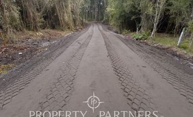 Parcelas en primera línea al Lago Llanquihue y vista al Volcán, Puerto Varas