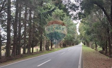 PARCELA EN RUTA A MAULLIN