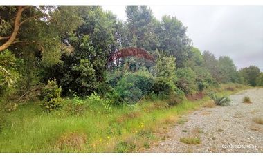 PARCELA EN RUTA A MAULLIN