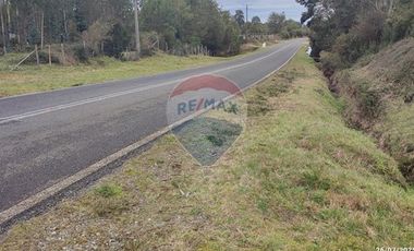 PARCELA EN RUTA A MAULLIN