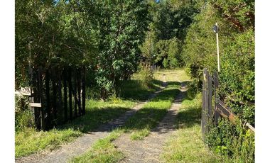 Refugio de Madera y Naturaleza en Lago Ranco