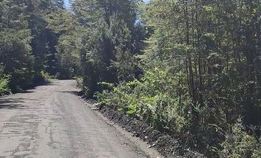 PARCELA URBANIZADA EN LAGOCHAPO