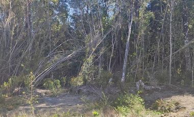 PARCELA URBANIZADA EN LAGOCHAPO