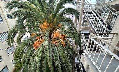 Departamento en Arriendo en Condominio El Libertador a 5 Minutos de Plaza de Armas
