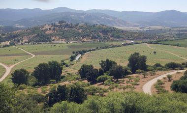 HUALAÑÉ SECTOR LOS COIPOS