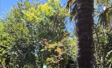 RIO BUENO, CON AGUA LUZ Y FOSA A 25 MIN LAGO RANCO