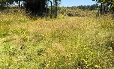 RIO BUENO, CON AGUA LUZ Y FOSA A 25 MIN LAGO RANCO