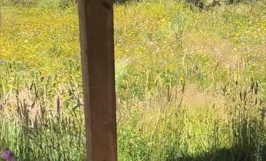 RIO BUENO, CON AGUA LUZ Y FOSA A 25 MIN LAGO RANCO