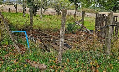 RIO BUENO, CON AGUA LUZ Y FOSA A 25 MIN LAGO RANCO