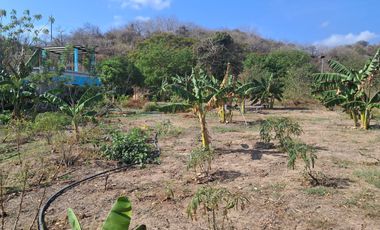 Lote en venta sobre vía a Juan de Acosta – Excelente ubicación
