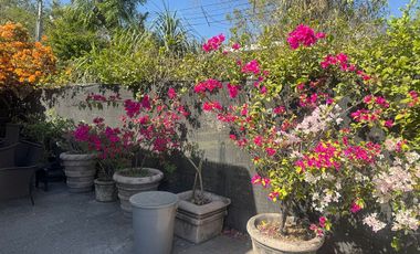 Terreno en renta, Ave Benito Juarez, Guadalupe NL