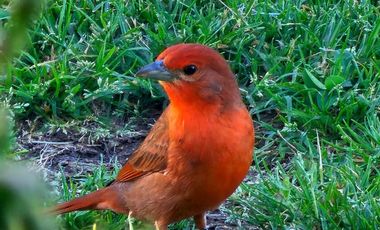 DEPARTAMENTO 3 AMB COCHERA PISCINA QUILMES VENTA