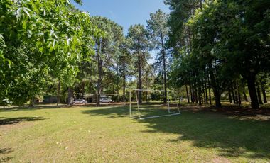 Venta Quinta 2 dorm, pileta en 2142 mt2 forestados