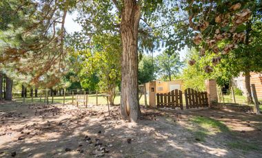 Venta Quinta 2 dorm, pileta en 2142 mt2 forestados