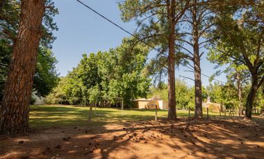 Venta Quinta 2 dorm, pileta en 2142 mt2 forestados