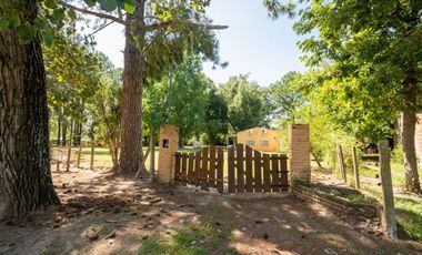 Venta Quinta 2 dorm, pileta en 2142 mt2 forestados