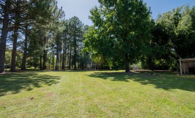 Venta Quinta 2 dorm, pileta en 2142 mt2 forestados