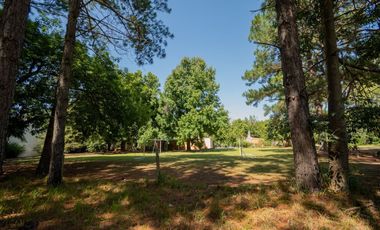 Venta Quinta 2 dorm, pileta en 2142 mt2 forestados