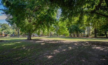 Venta Quinta 2 dorm, pileta en 2142 mt2 forestados