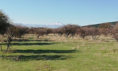 SE VENDE PARCELA CERCADA A ORILLA DE CAMINO 5000 M2
